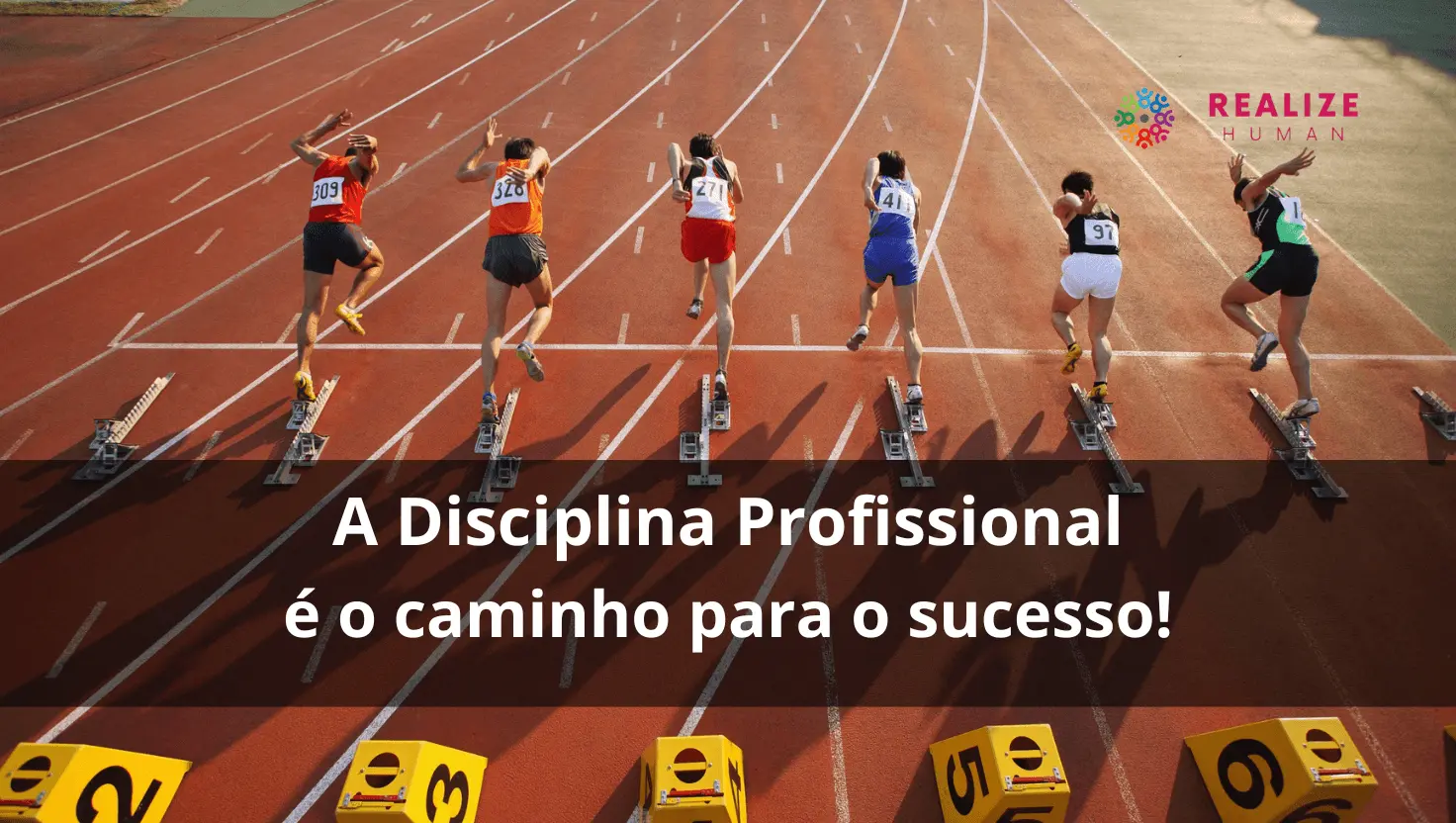 A Disciplina Profissional é o caminho para o sucesso e transformação no mercado de trabalho